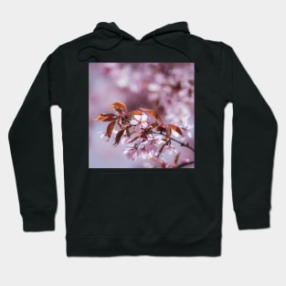 Cherry blossom tree Hoodie